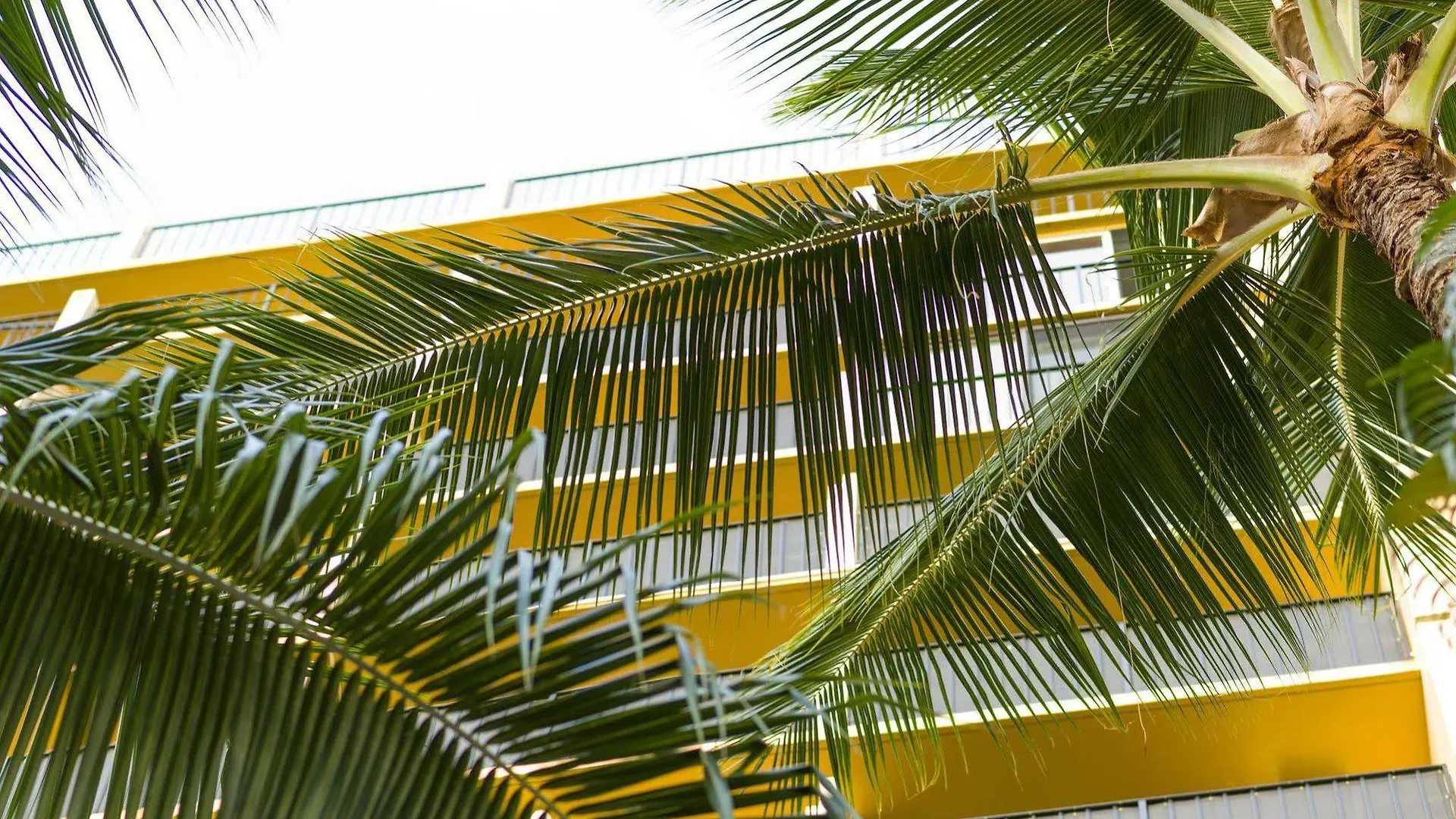 Castle Bamboo Waikiki Hotel Honolulu